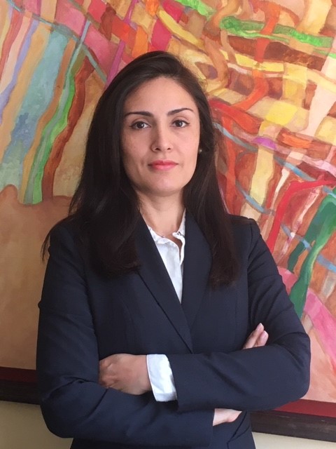 ANDREA PAOLA GOTUZZO VASQUEZ